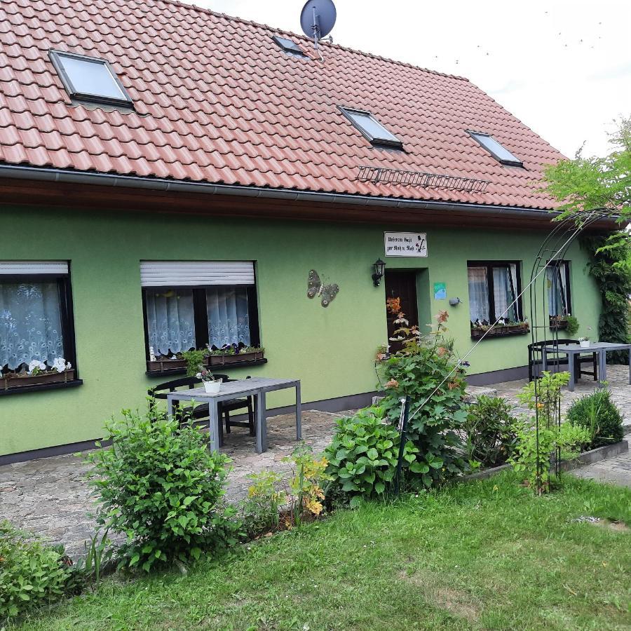 Landpension Zum Schweizerberg Neugrimnitz Exteriér fotografie