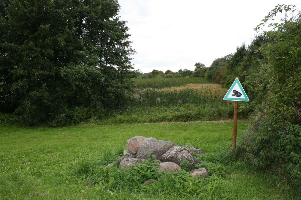 Landpension Zum Schweizerberg Neugrimnitz Exteriér fotografie