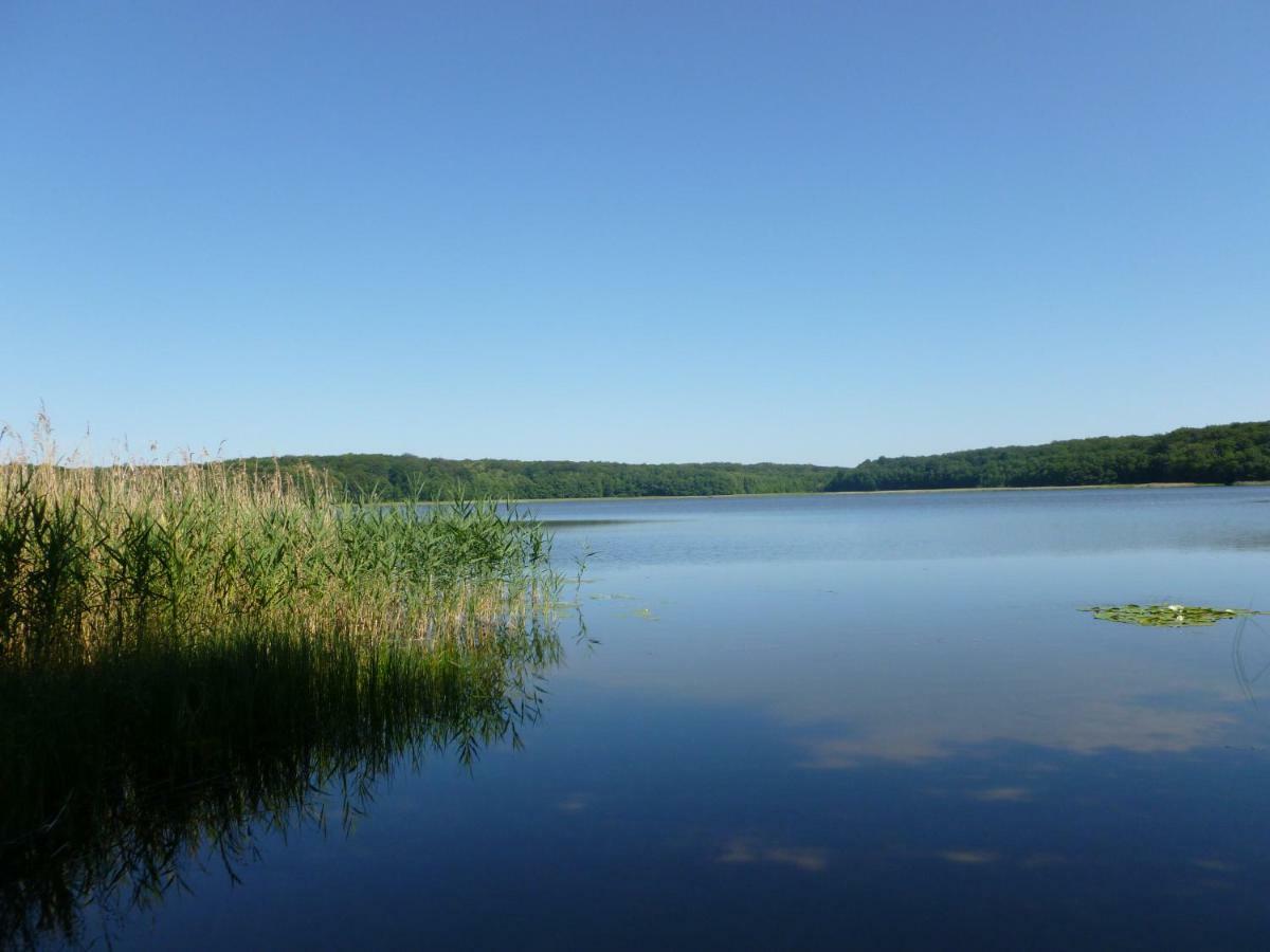 Landpension Zum Schweizerberg Neugrimnitz Exteriér fotografie
