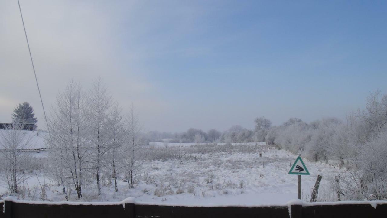 Landpension Zum Schweizerberg Neugrimnitz Exteriér fotografie