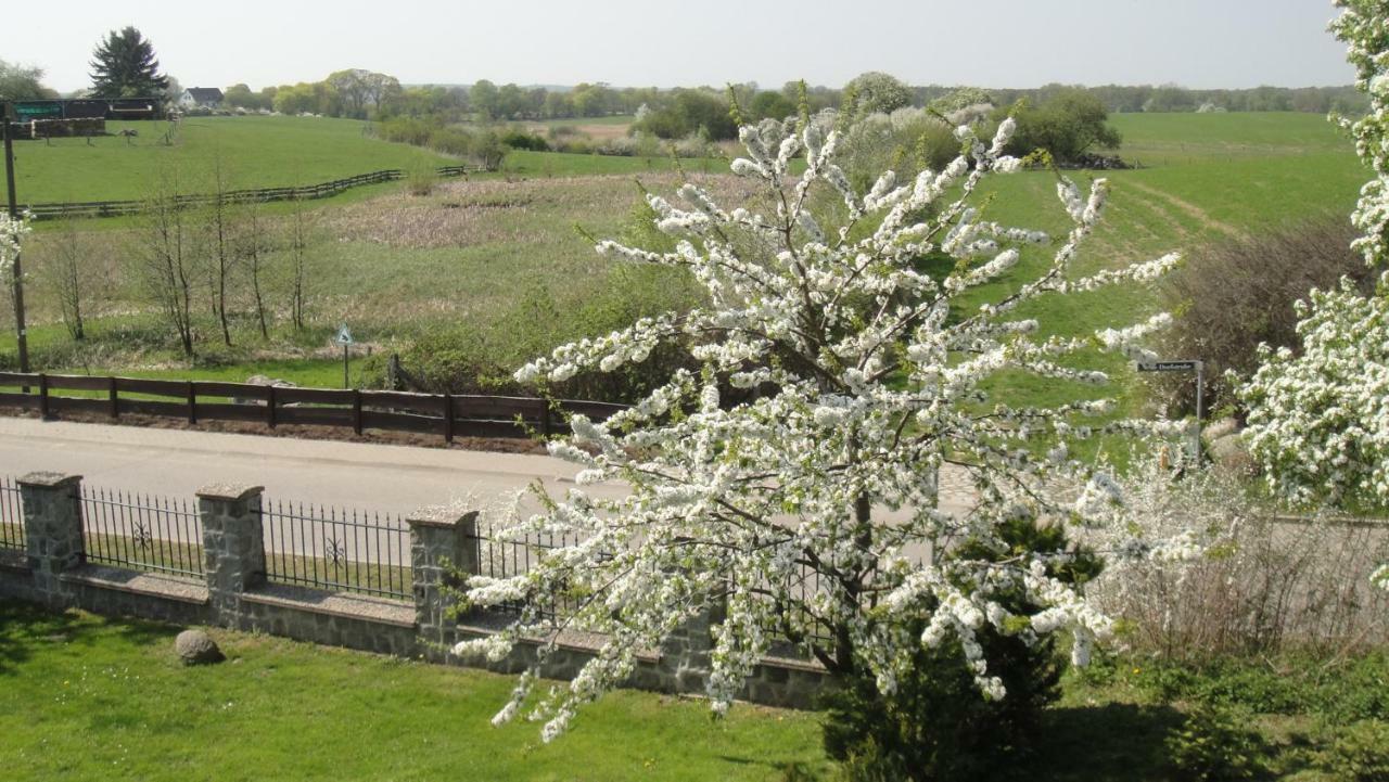 Landpension Zum Schweizerberg Neugrimnitz Exteriér fotografie