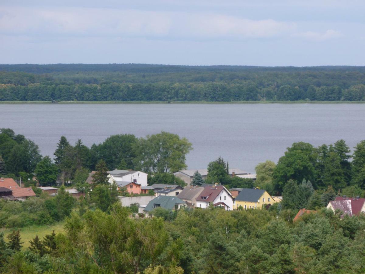 Landpension Zum Schweizerberg Neugrimnitz Exteriér fotografie