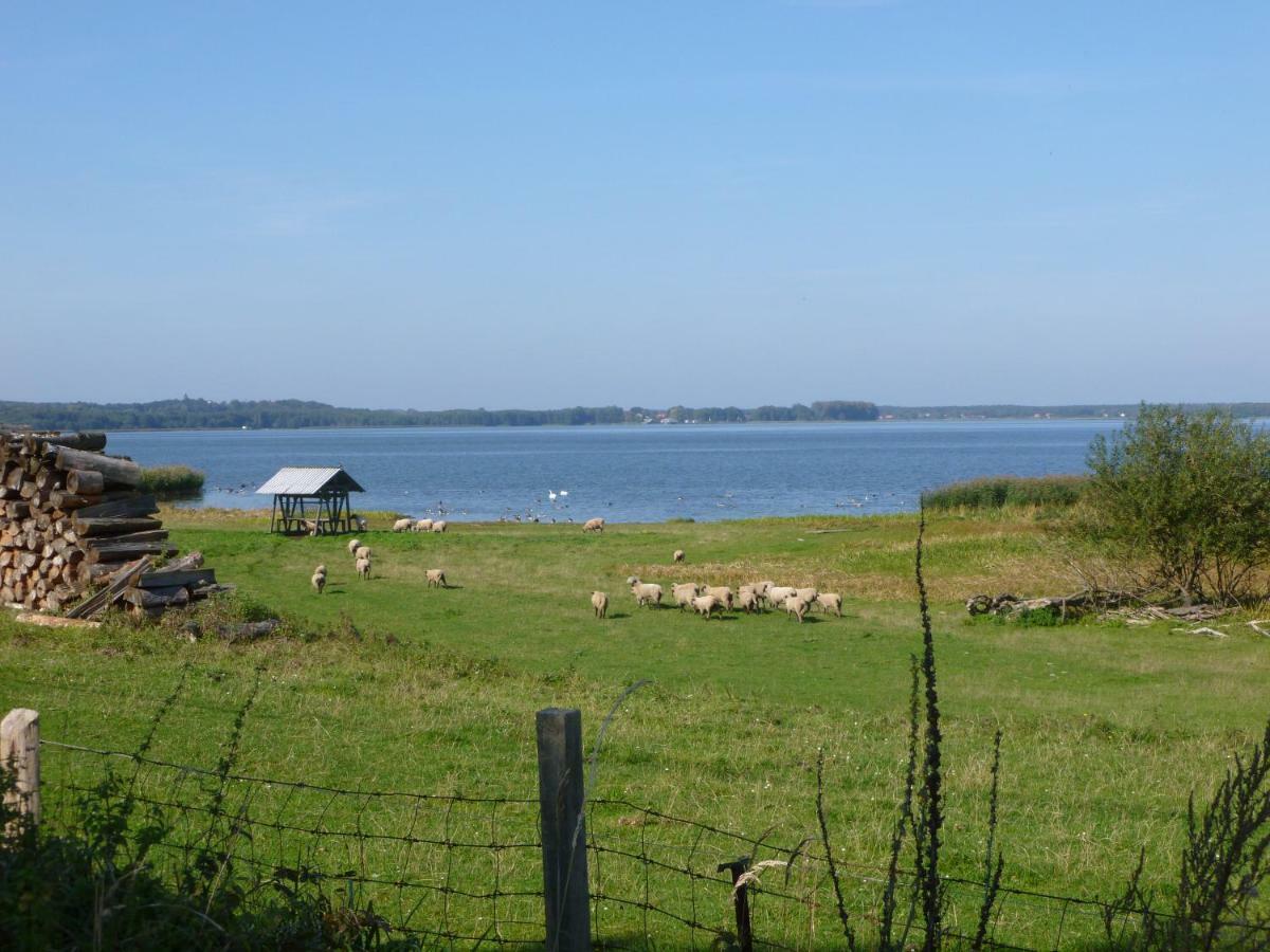 Landpension Zum Schweizerberg Neugrimnitz Exteriér fotografie